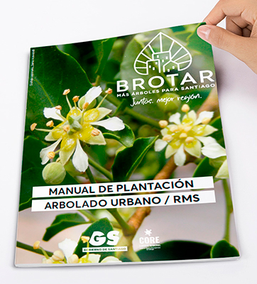 VAAR <br>Manual Arbolado Brotar