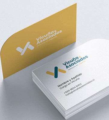 VICUÑA & ASOCIADOS<br>Imagen corporativa